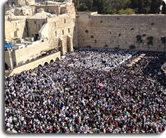 mount of olives